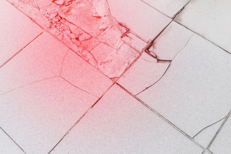 Damaged Tile Repair